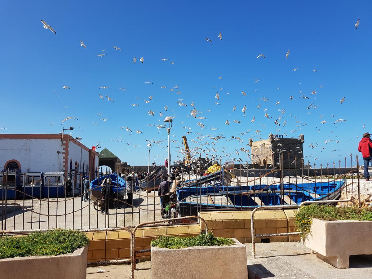 Riad Sidi Magdoul Essaouira Buitenkant foto