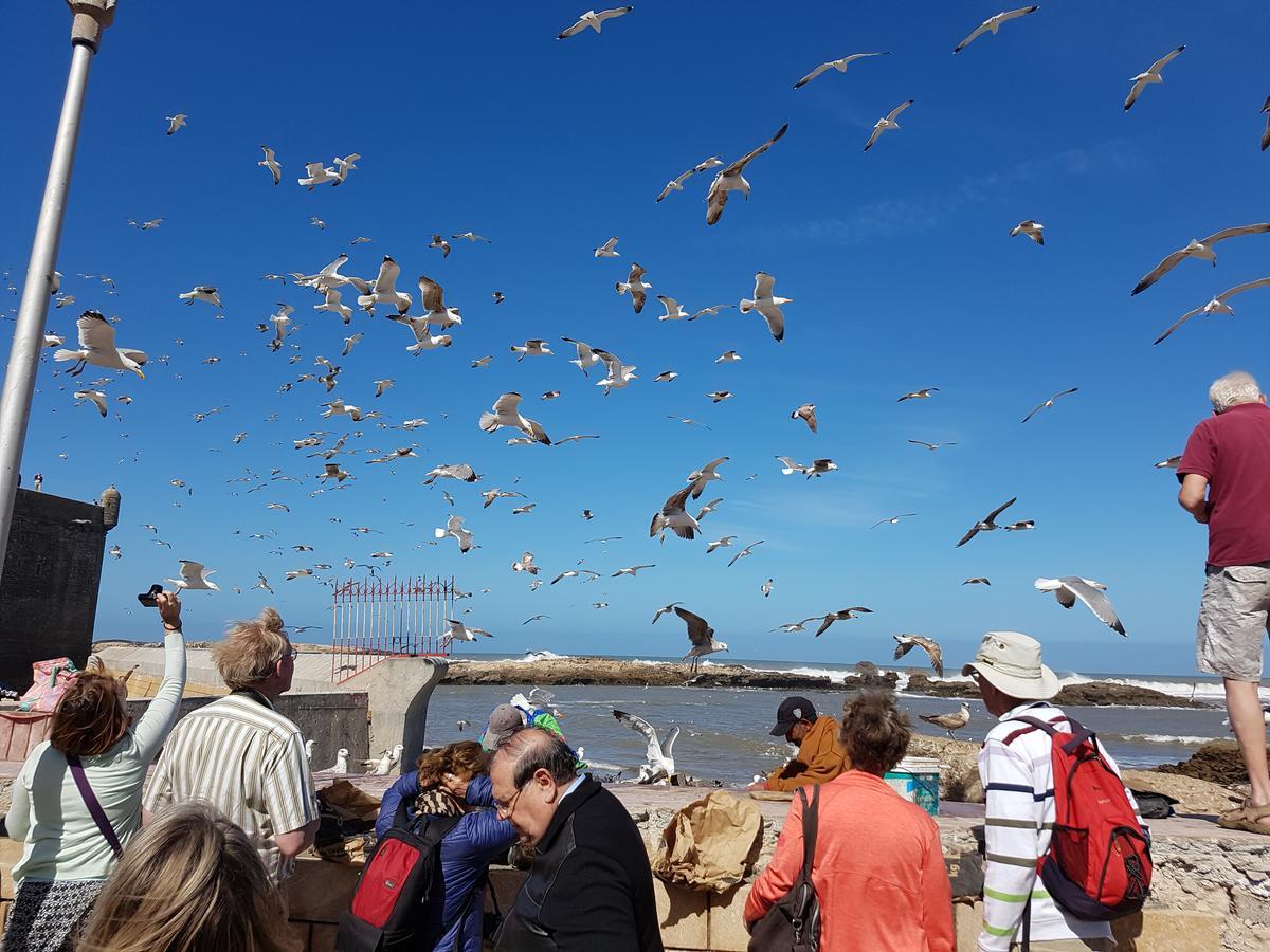 Riad Sidi Magdoul Essaouira Buitenkant foto